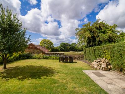 Picture 28